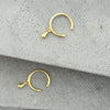 Joni Cuff
