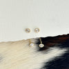 Oval Bezel Earrings